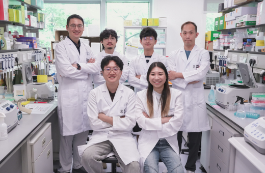 港大醫學院開發創新工具修復錯誤基因 為神經退化性疾病帶來新希望